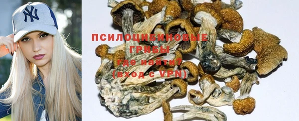 ПСИЛОЦИБИНОВЫЕ ГРИБЫ Заволжск