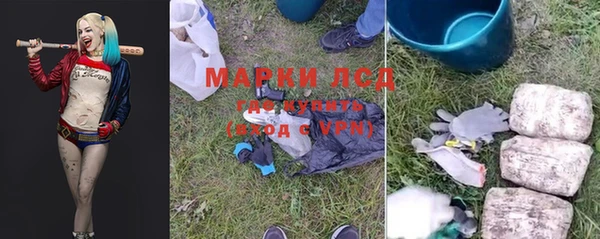 ПСИЛОЦИБИНОВЫЕ ГРИБЫ Заволжск