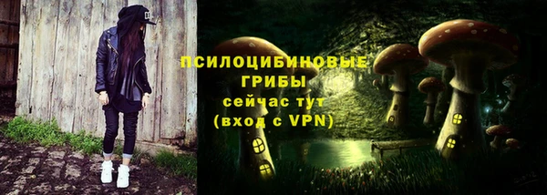 ПСИЛОЦИБИНОВЫЕ ГРИБЫ Заволжск