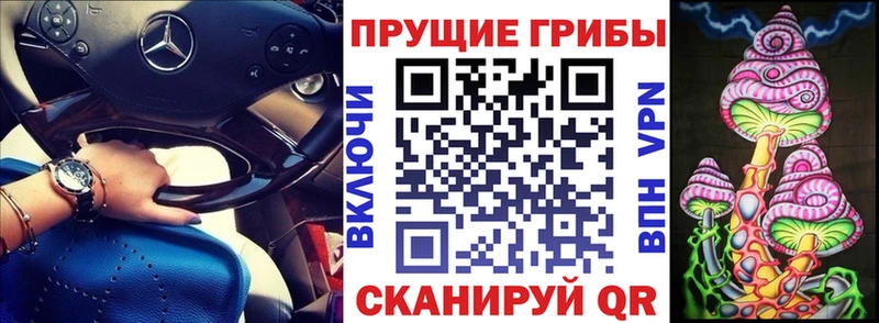 Псилоцибиновые грибы Psilocybine cubensis  купить наркотики цена  Домодедово 